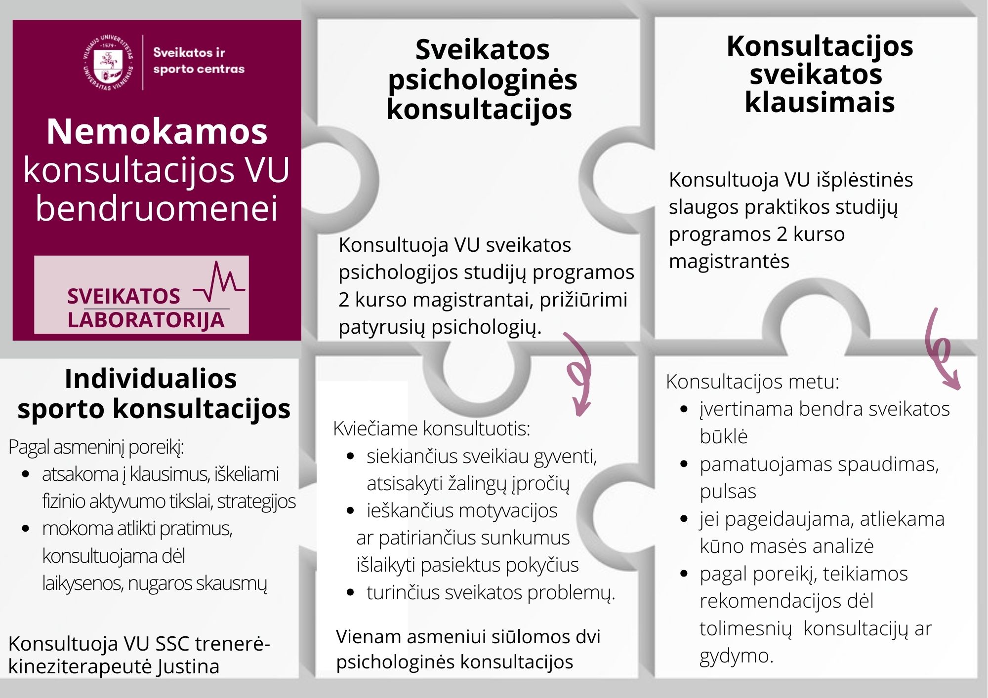 SL konsultacijos basic