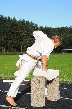 Kiokušin karate klubo 